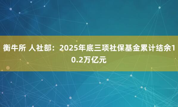 衡牛所 人社部：2025年底三项社保基金累计结余10.2万亿元