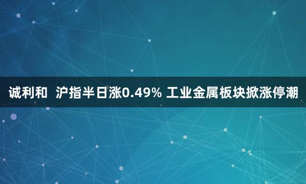诚利和  沪指半日涨0.49% 工业金属板块掀涨停潮
