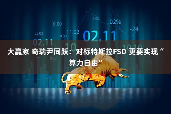 大赢家 奇瑞尹同跃：对标特斯拉FSD 更要实现“算力自由”