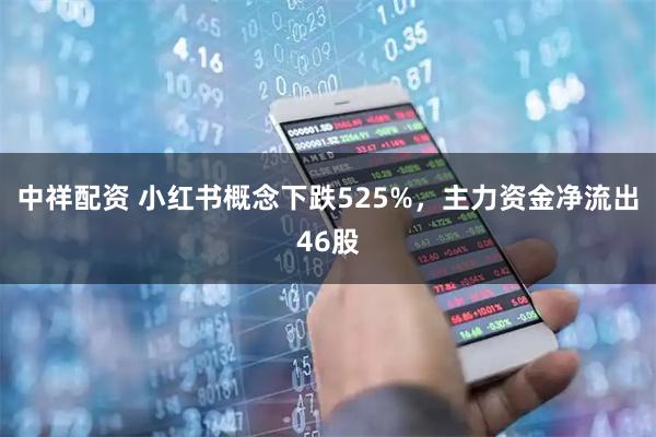 中祥配资 小红书概念下跌525%，主力资金净流出46股