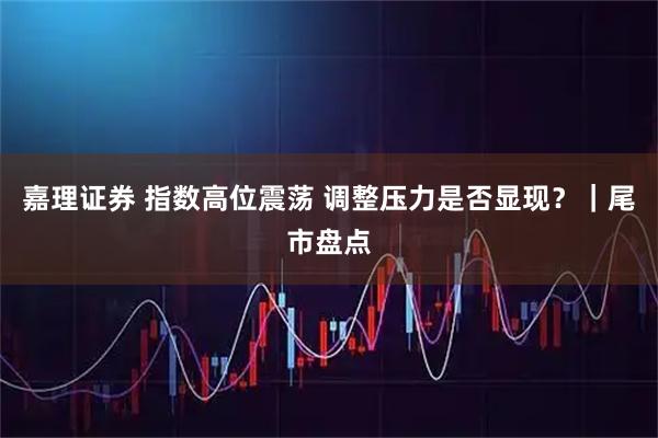 嘉理证券 指数高位震荡 调整压力是否显现？｜尾市盘点