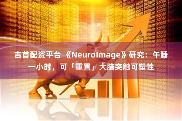 吉首配资平台 《NeuroImage》研究：午睡一小时，可「重置」大脑突触可塑性